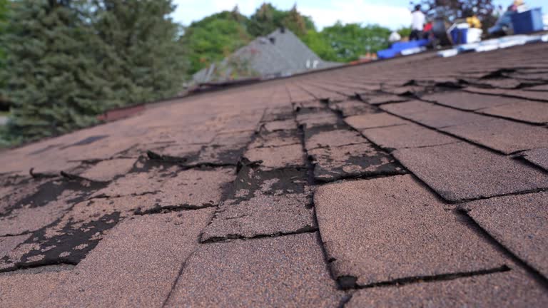 Walnut Creek, OH Roofing Service Company